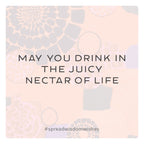 ✦ PRE-ORDER ✦ Wisdom Wishes: Cards to spread Joy, Inspiration, and Kindness into the world around you
