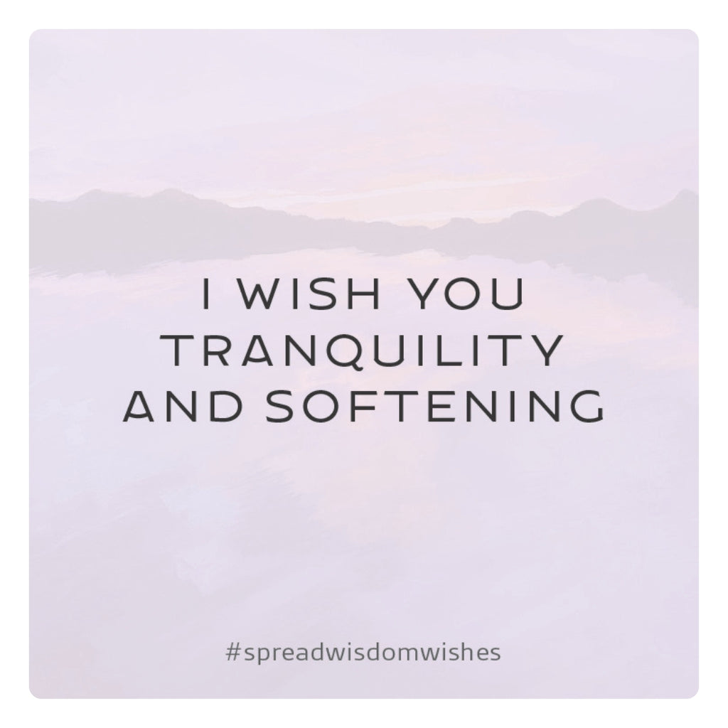 ✦ PRE-ORDER ✦ Wisdom Wishes: Cards to spread Joy, Inspiration, and Kindness into the world around you