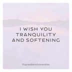 ✦ PRE-ORDER ✦ Wisdom Wishes: Cards to spread Joy, Inspiration, and Kindness into the world around you