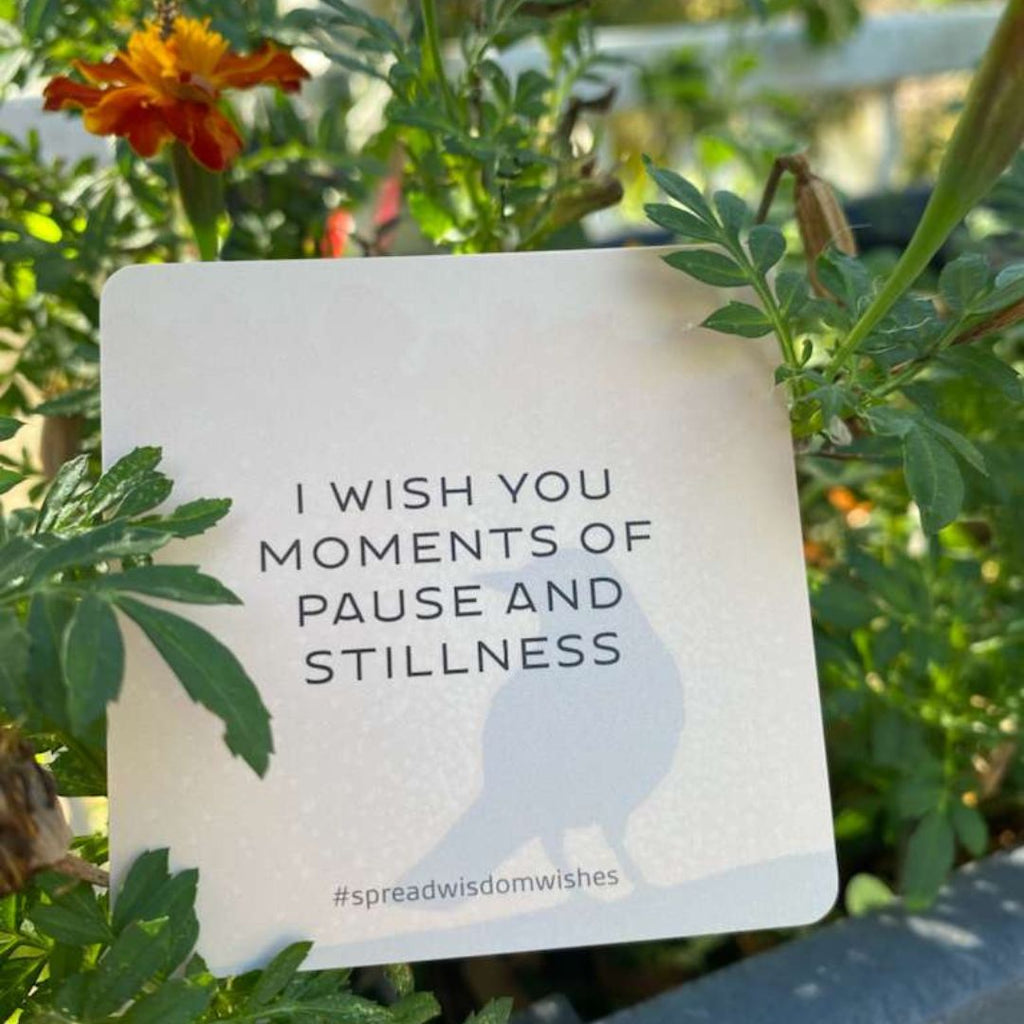 I wish you moments of pause and stillness - message on an inspiration card. #spreadwisdomwishes